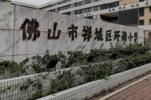 STEAM教育丨陽春已至，雷宇助力雙城共育創客之花